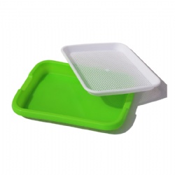 Nursery Tray